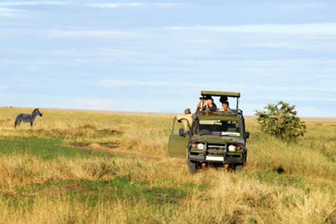 Safari in the Serengati National Park