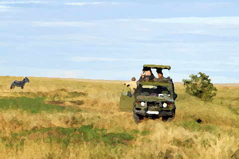 Safari in the Serengati National Park