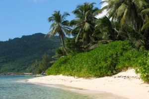 The Beaches of Mahe