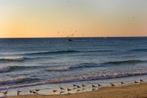 Alassio Discovery Guide
