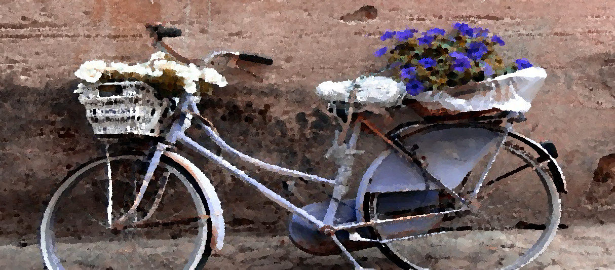 Finalborgo Bicycle