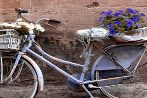Finalborgo Discovery Guide