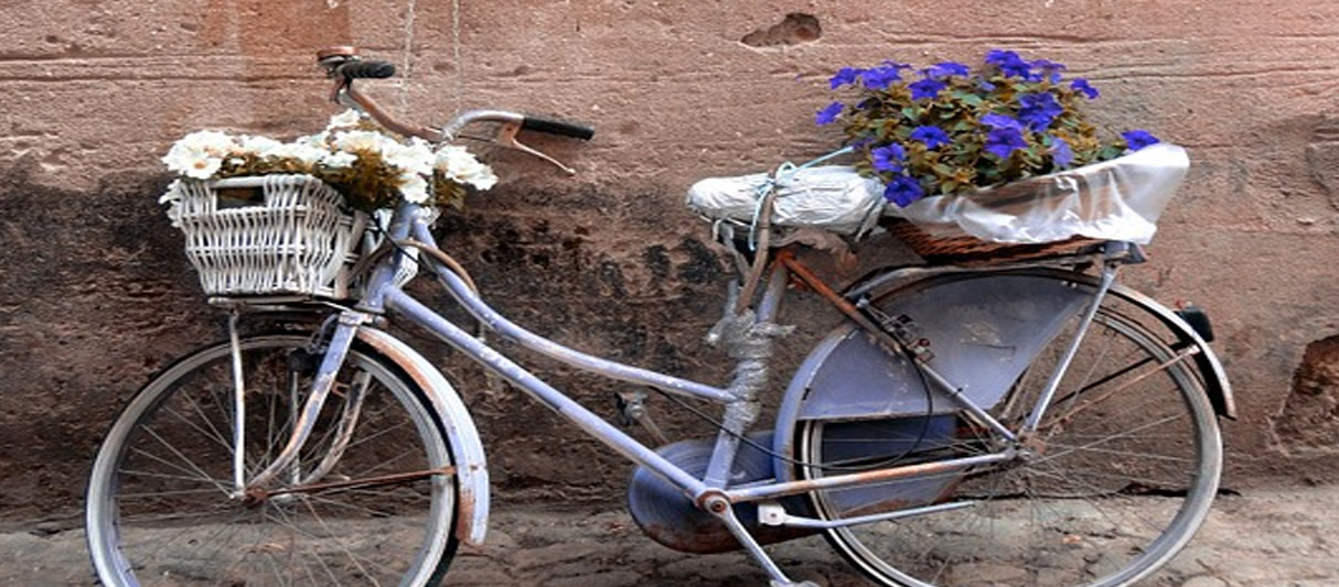 Finalborgo Bicycle