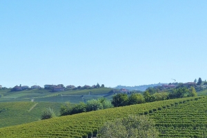Langhe, breathtaking landscapes, picturesque hamlets and excellent Italian gastronomy