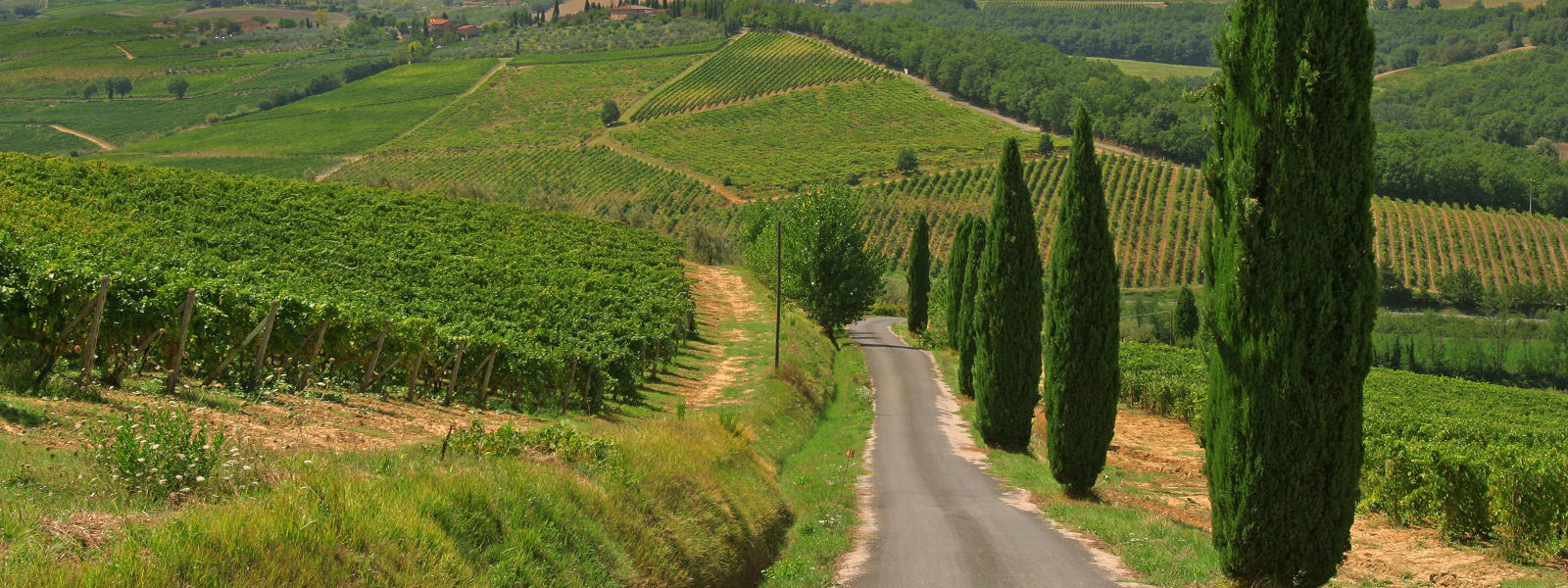 Tuscany Pictures thumbnail