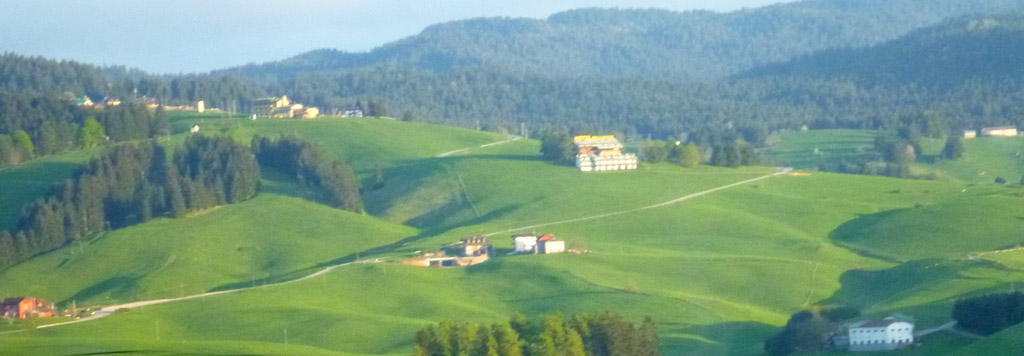 Asiago