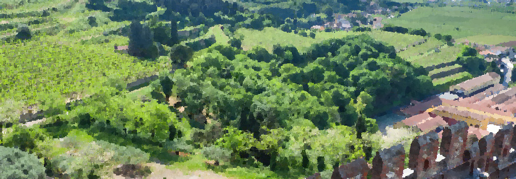 Soave Discovery Guide