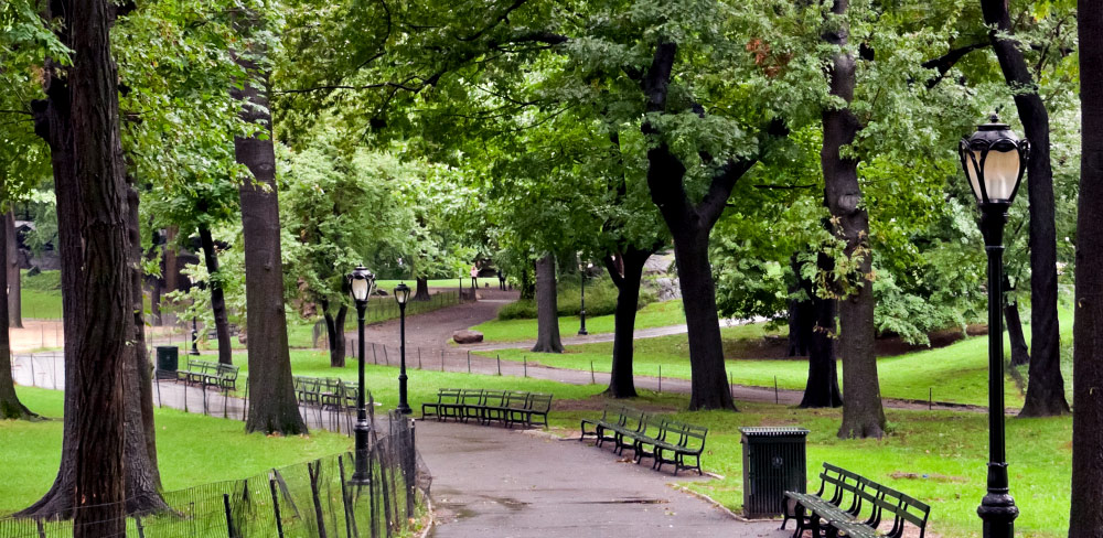 Central Park Path Picture