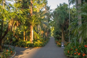 Royal Botanic Gardens - Sydney, New South Wales