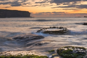 Royal National Park - Sydney, New South Wales
